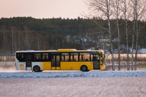 Ruissaloon/ Eija Siltari