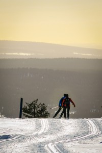 eteenpäin-0440
