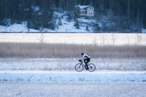 Pyöräilija Ruissalossa / Eija Siltari